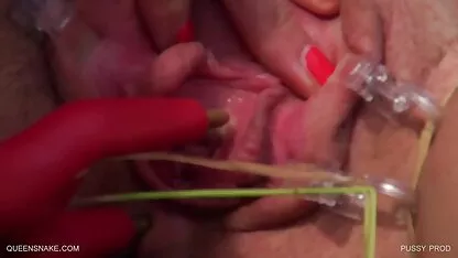 Proizvod je mačka - quinn.coma slike bez seksa