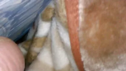 Braća i sestre XXX Latina