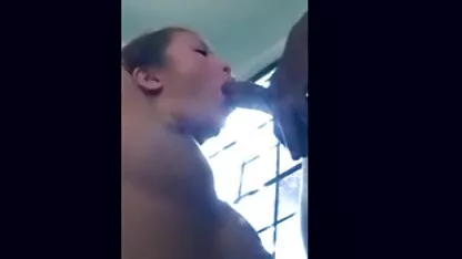 Gužva koljena i poprsje visoko smeđe uske mačke