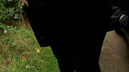 Ono što ja volim raditi 2-tamara Grace porno video s bakom i djedom